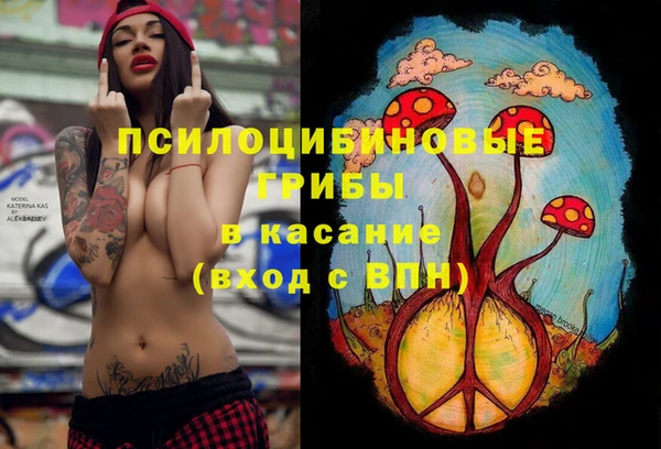 молекула духа Алексеевка