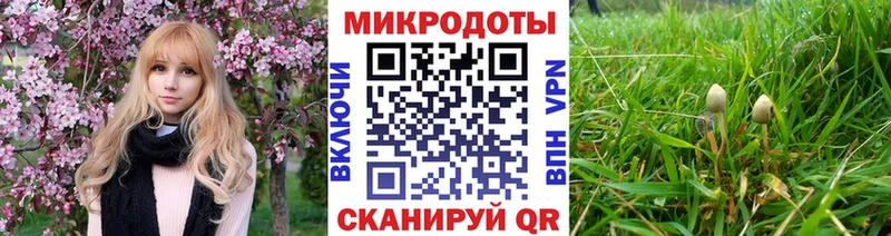 Галлюциногенные грибы мухоморы  Чадан 