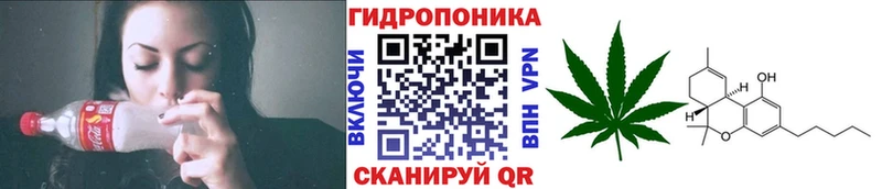 Канабис конопля Чадан